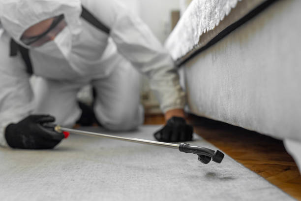Professional Bed Bug Control technician working in Wescosville, PA