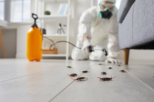 Trusted Cockroach Control service in Wescosville, PA - Nex Pest Control