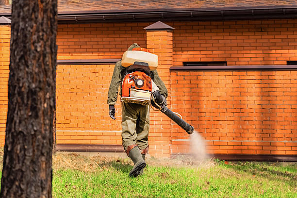 Trusted Rodent Control service in Wescosville, PA - Nex Pest Control
